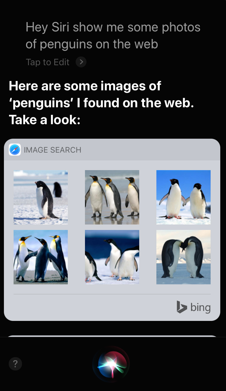 siri-penguin